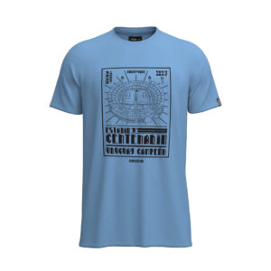 Remera CENTENARIO CELESTE