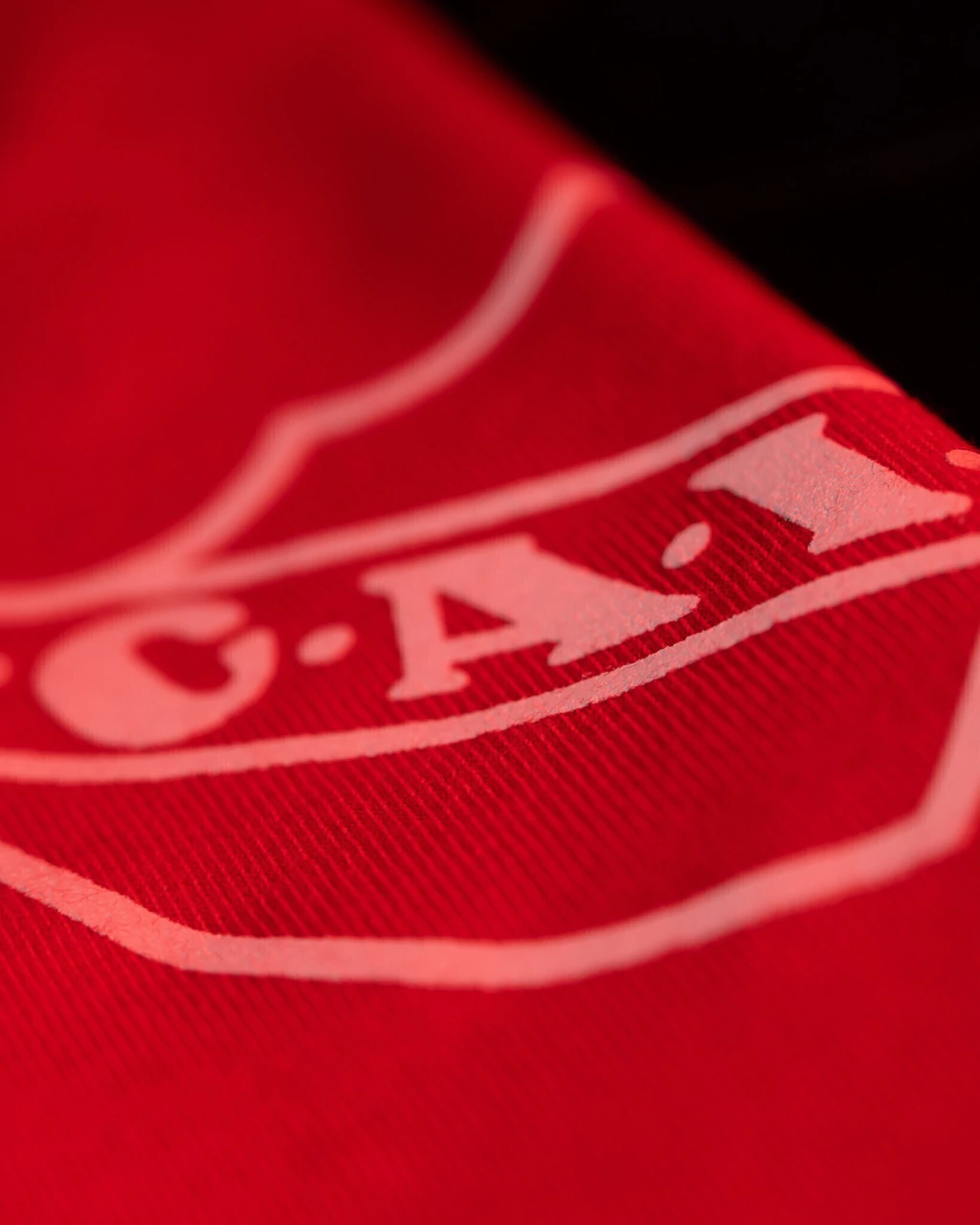 Remera Réplica BOCHINI 84 - Imagen 4